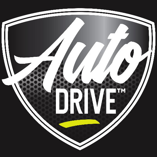 AUTO DRIVE